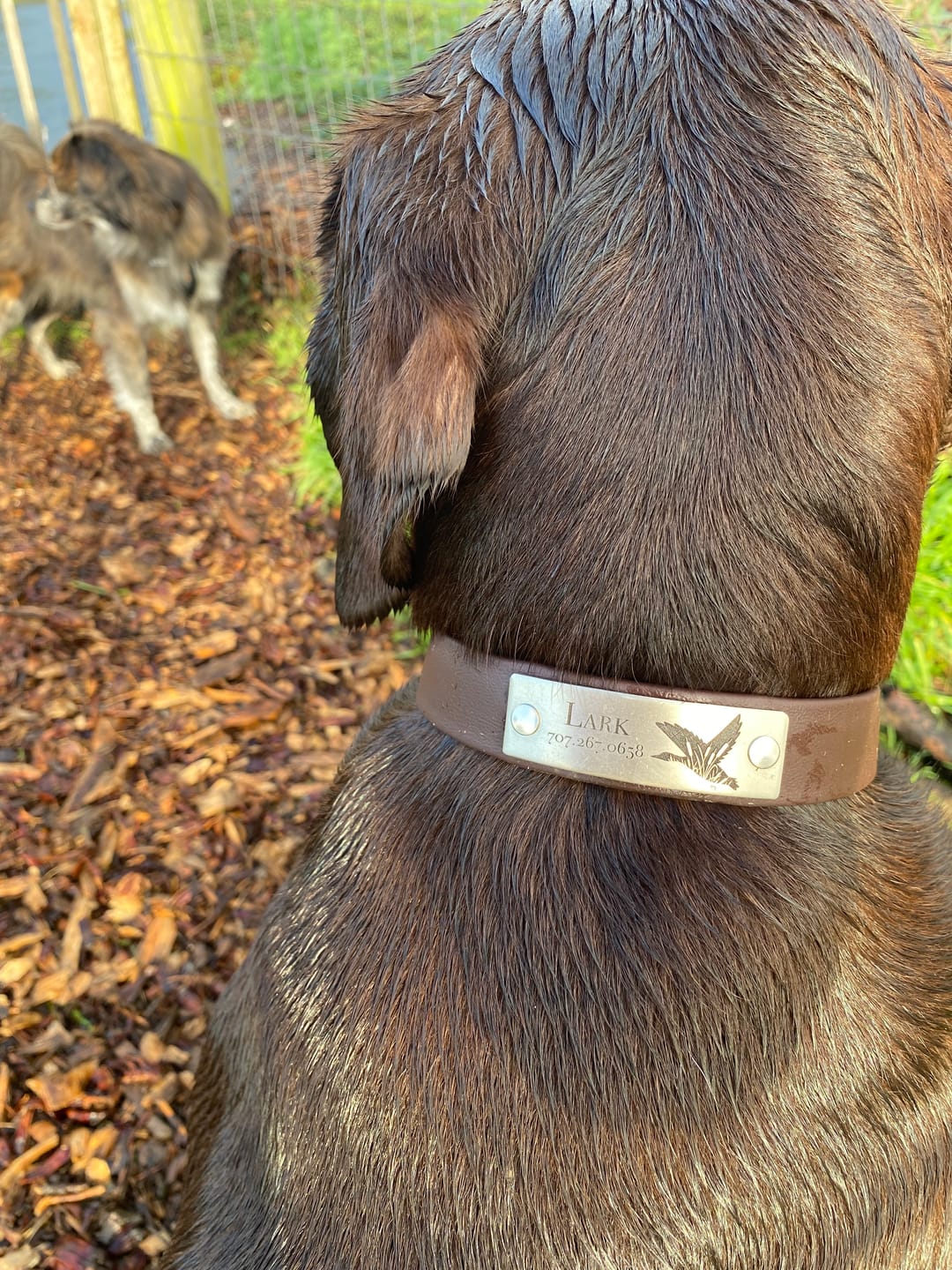 Customer photo review of Designer Rivet-On Tag