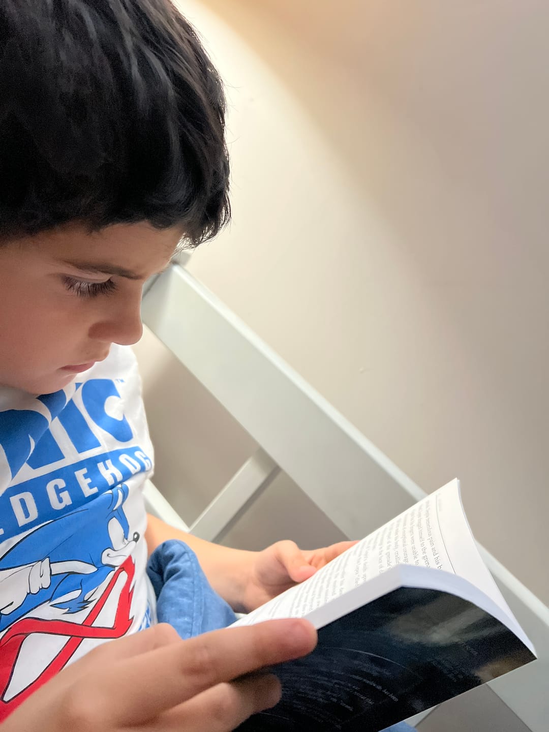Customer photo review of Great Battles For Boys Complete Series — FREE SHIPPING!