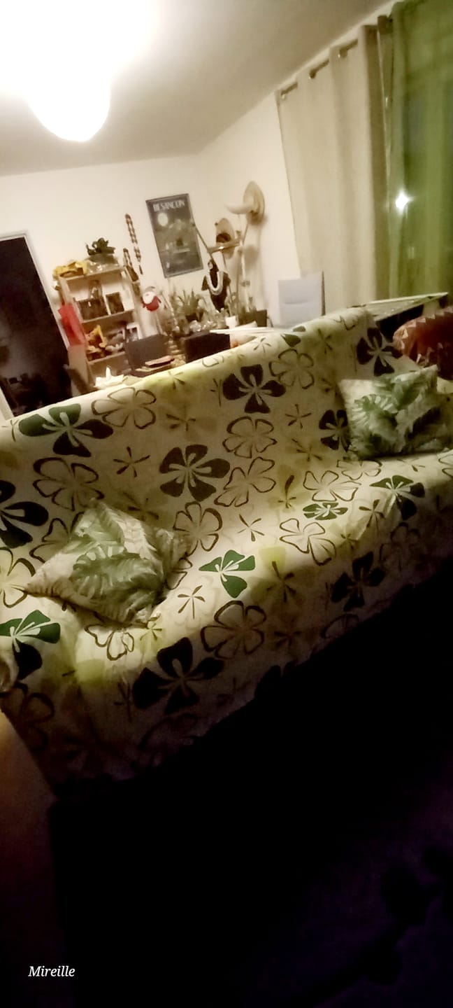 Customer photo review of Green Clover - Housse de Canapé Extensible