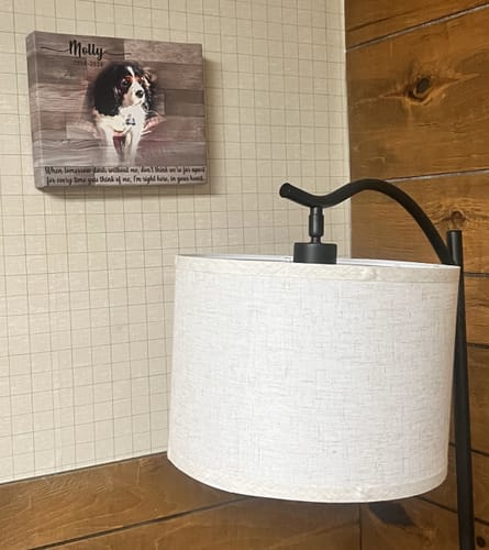 Customer photo review of Colored Pet Memorial Sign