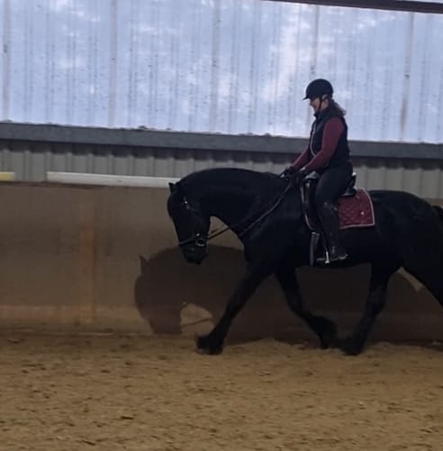 Customer photo review of Balancezügel CR