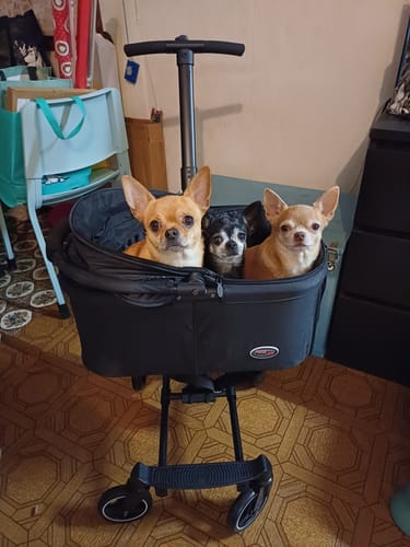 Customer photo review of City Hopper lemmikkirattaat