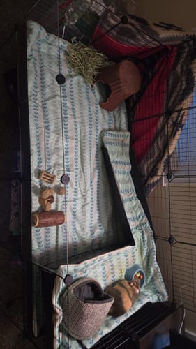 Customer photo review of Kavee Rescue Donation