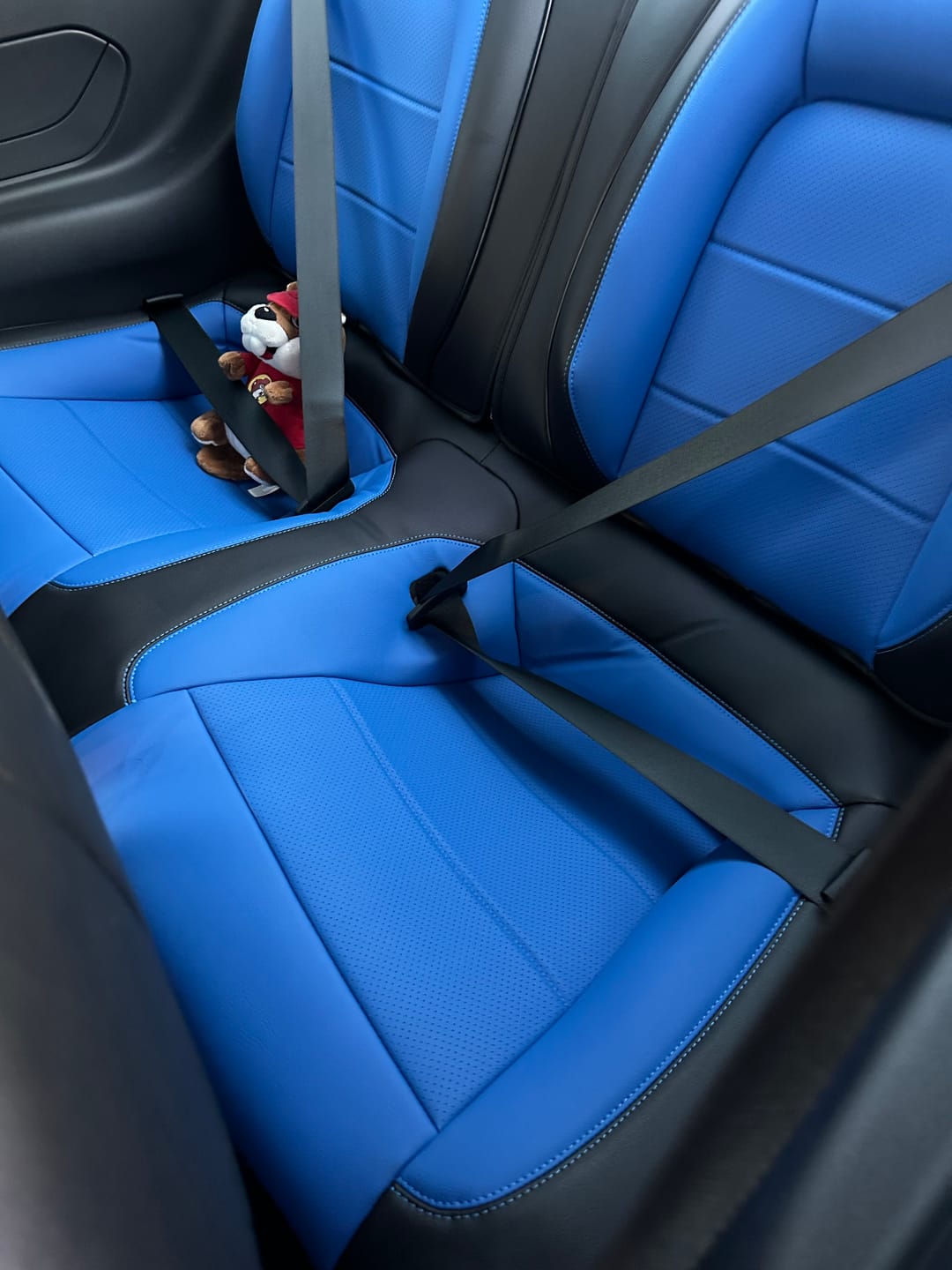 Customer photo review of 2015+ Ford Mustang Coupe Custom Leather Seat Covers