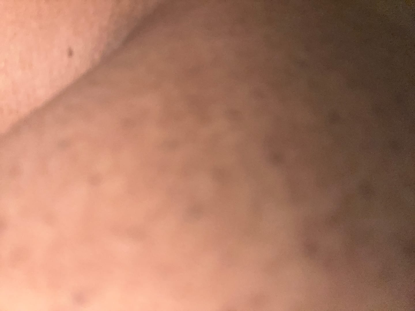 Customer photo review of Butt Enlargement Cream - Natural Curves Cream