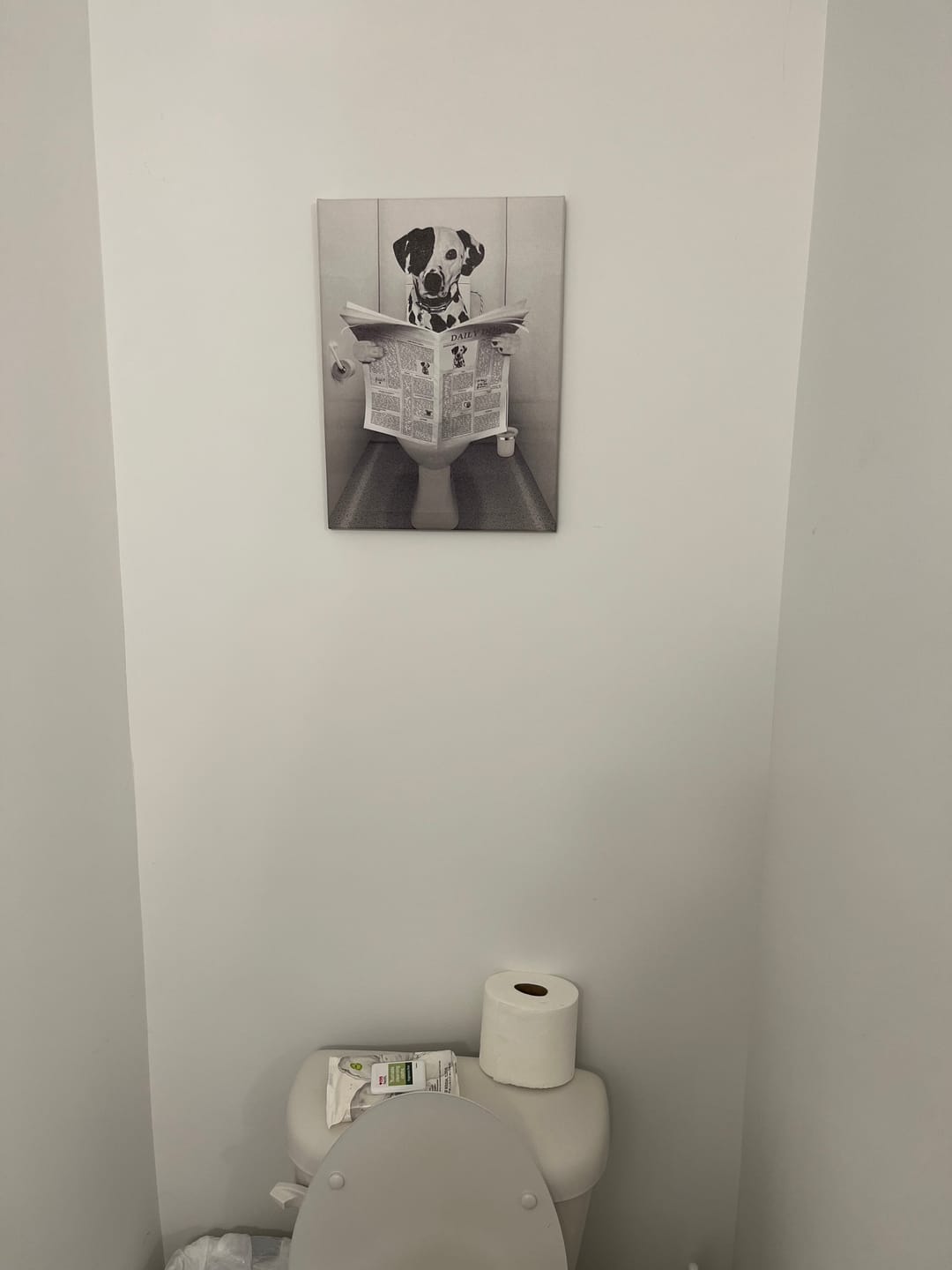 Customer photo review of Custom Pet Portrait Painting Wall Art Custom Black And White Canvas Print from Photos