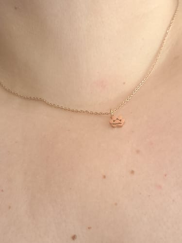 Customer photo review of Κολιέ με χάραξη το όνομα του Δικού σας Κατοικίδιου - Tiny Paw