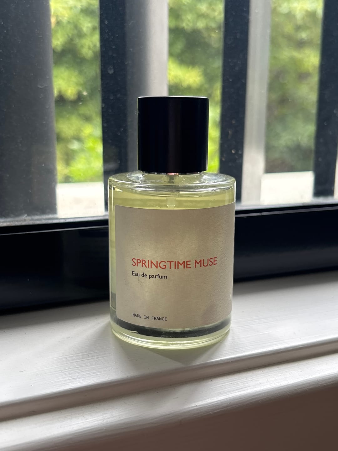 Customer photo review of Springtime Muse