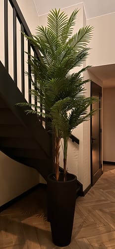 Customer photo review of Kunstpalm 230cm