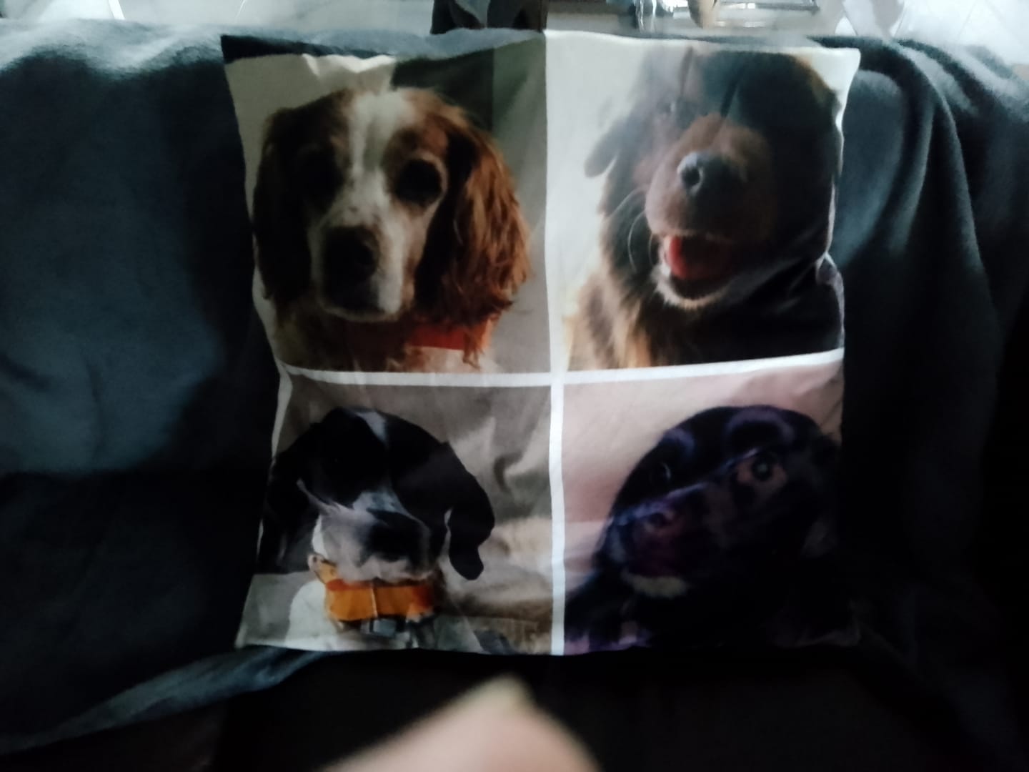 Customer photo review of Avec photo - Coussin personnalisé
