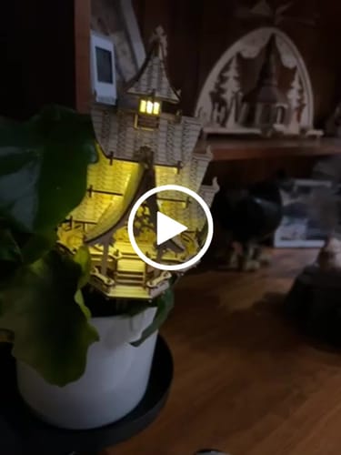 Customer video review of Temple of Joy