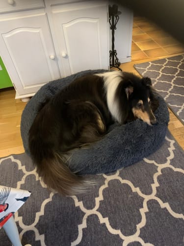 Customer photo review of CalmBed - Motverkar stress & hjälper mot ångest