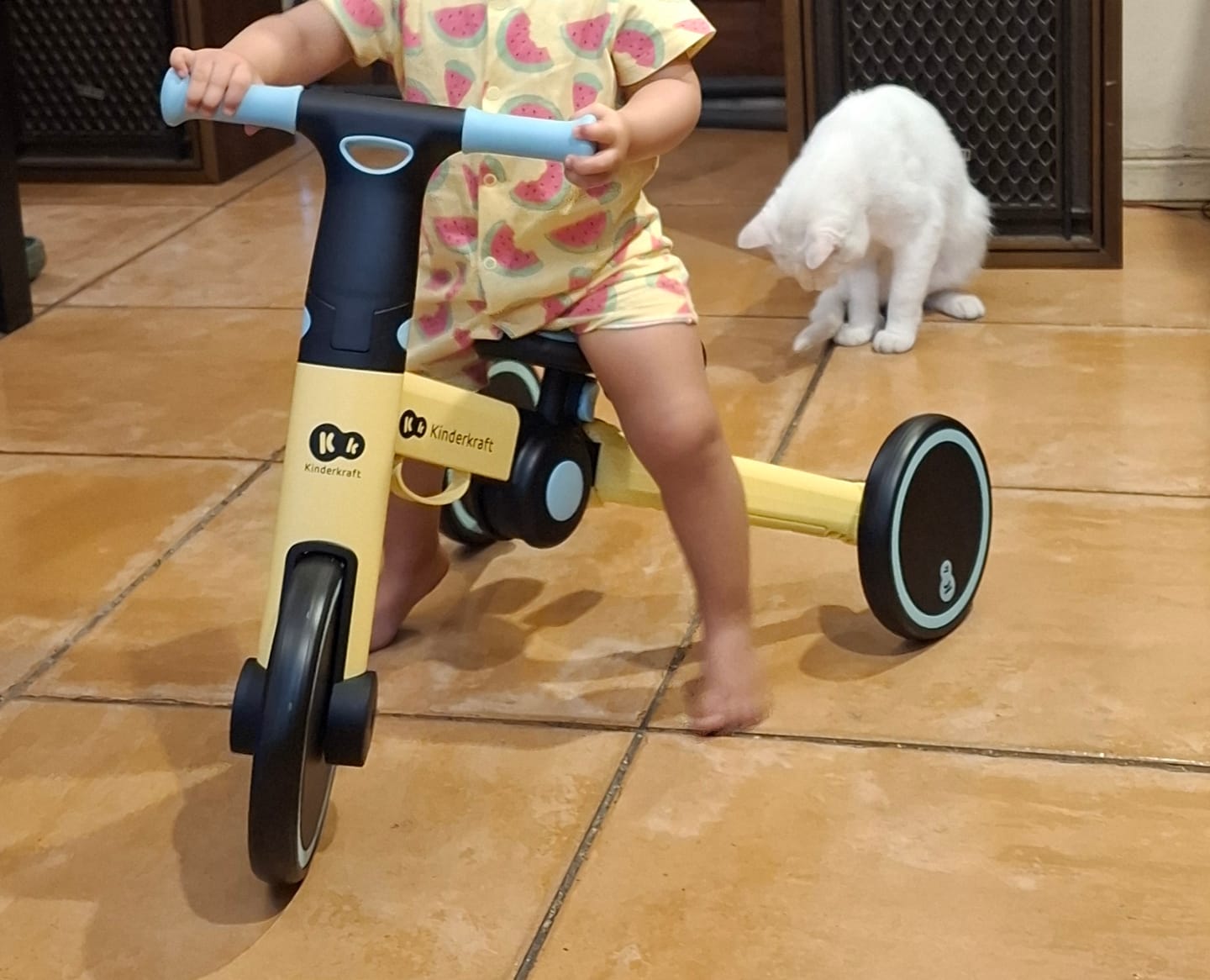 Customer photo review of Triciclo 4Trike  3 en 1 Sunflower Blue - Kinderkraft