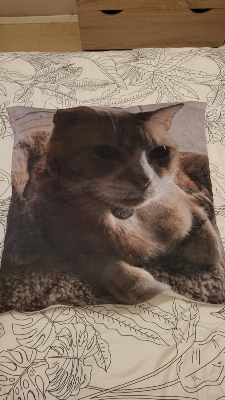 Customer photo review of Avec photo - Coussin personnalisé