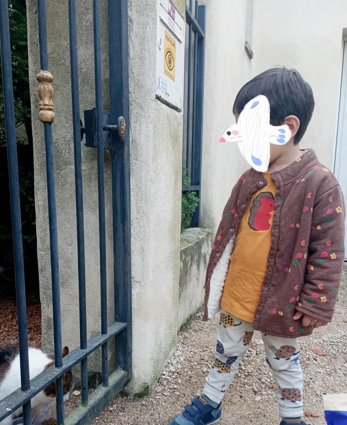 Customer photo review of Little Hedgehog Applique Long Sleeve T-Shirt