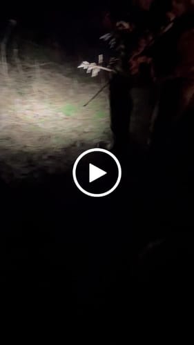 Customer video review of Beast Titanium-Steel Hybrid Broadheads