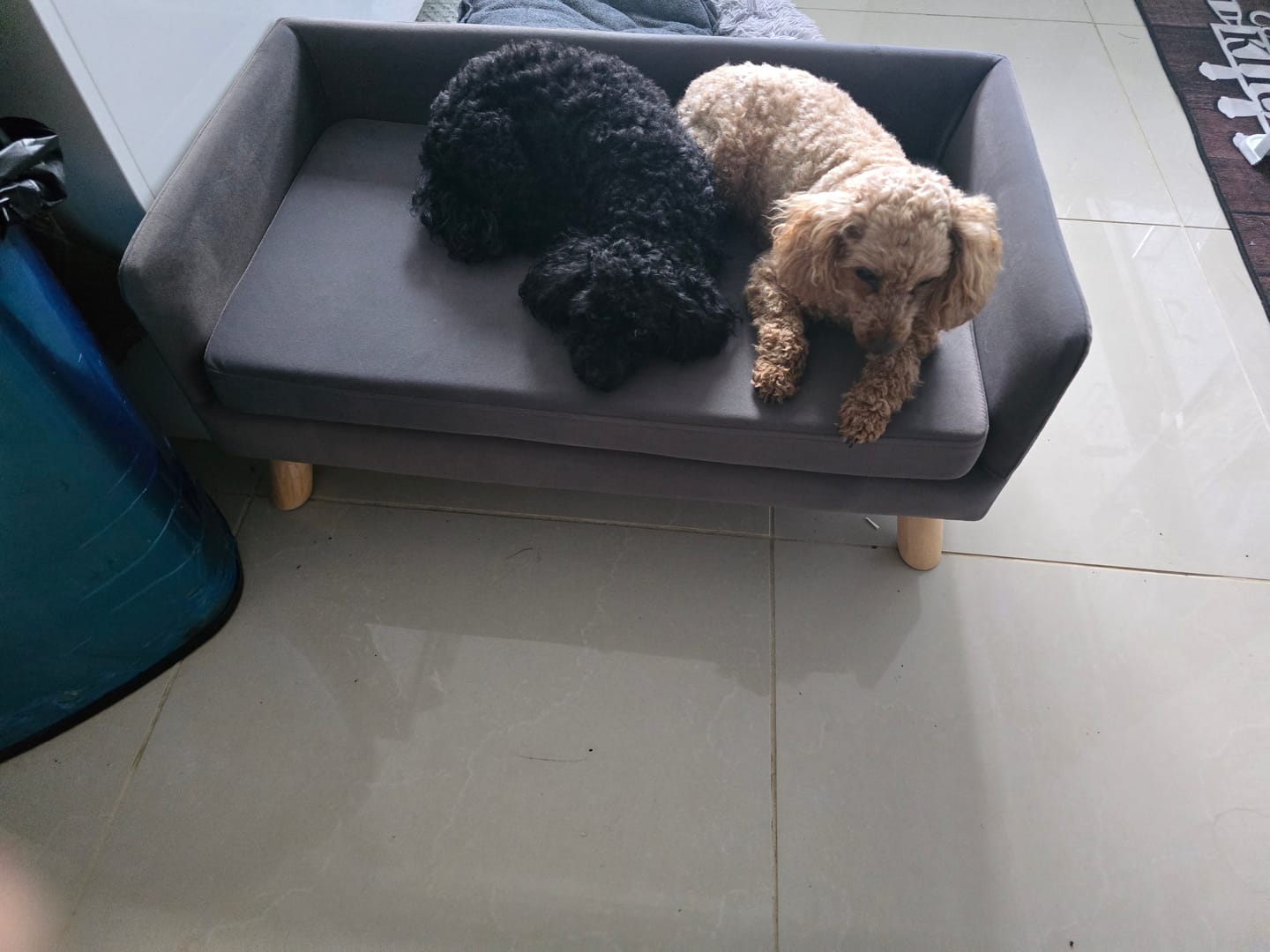 Customer photo review of PaWz Warm Soft Lounge Couch Chair Bed