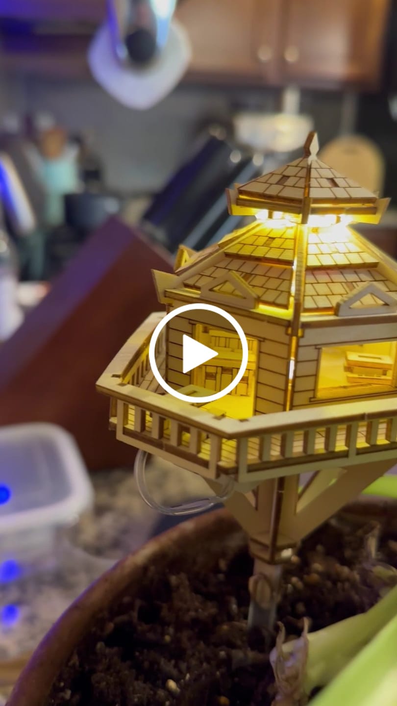 Customer video review of Woodland Outpost
