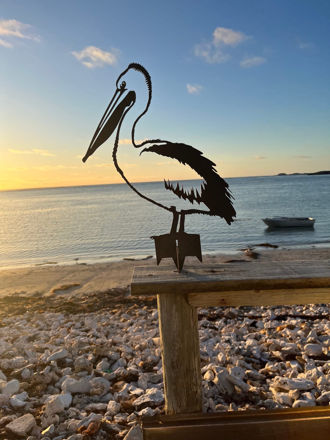 Customer photo review of Pelican