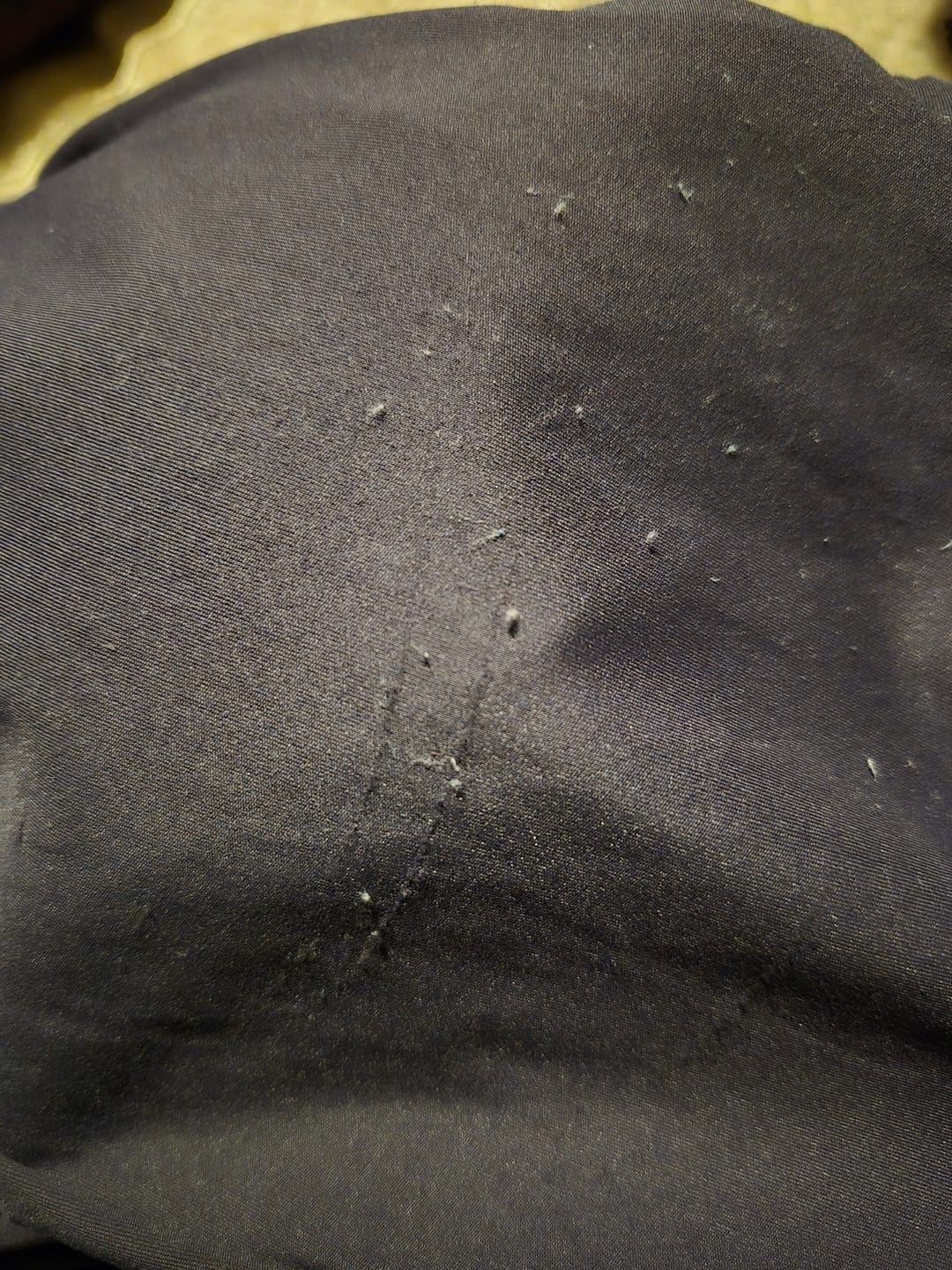 Customer photo review of Formation Joggers