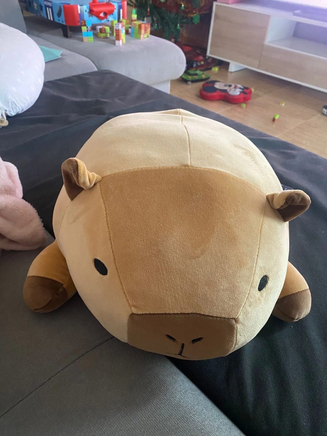 Customer photo review of Kawaii Capybara Plushie Pillows