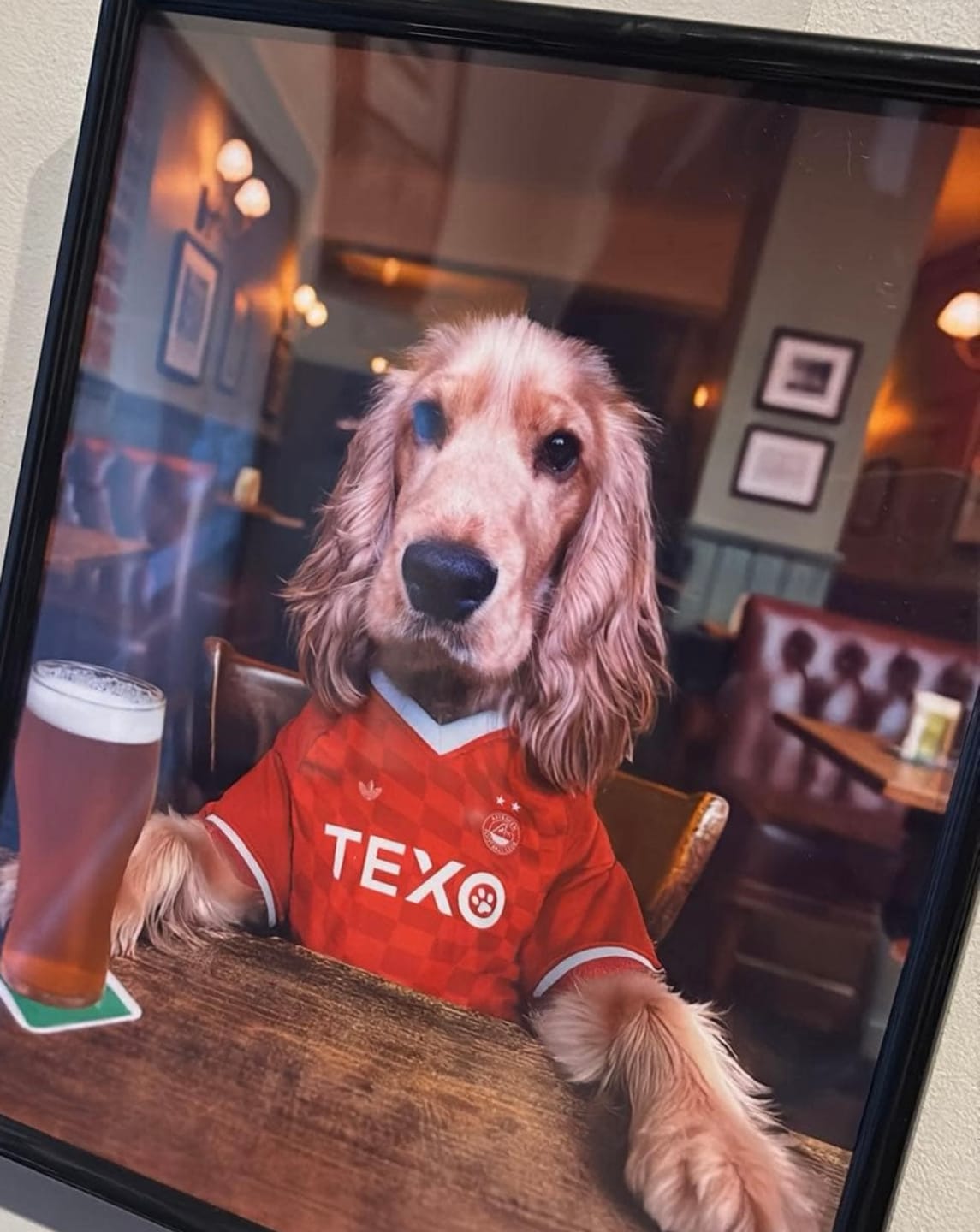 Customer photo review of Personalised Dog/Cat Football Image