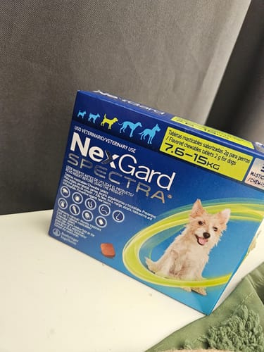 Customer photo review of Nexgard Spectra® 3 masticables