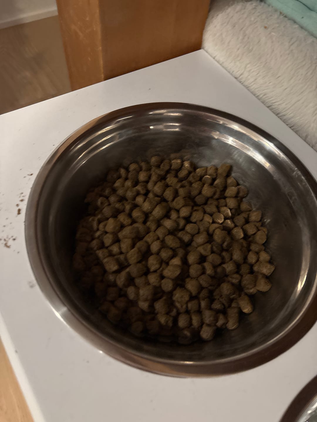 Customer photo review of Legacy - Nourriture pour chien - Variétés de Saveur