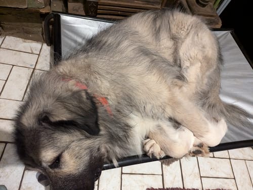 Lyn Y. review of Heavy Duty Silver Mesh Cover image 1 out of 2