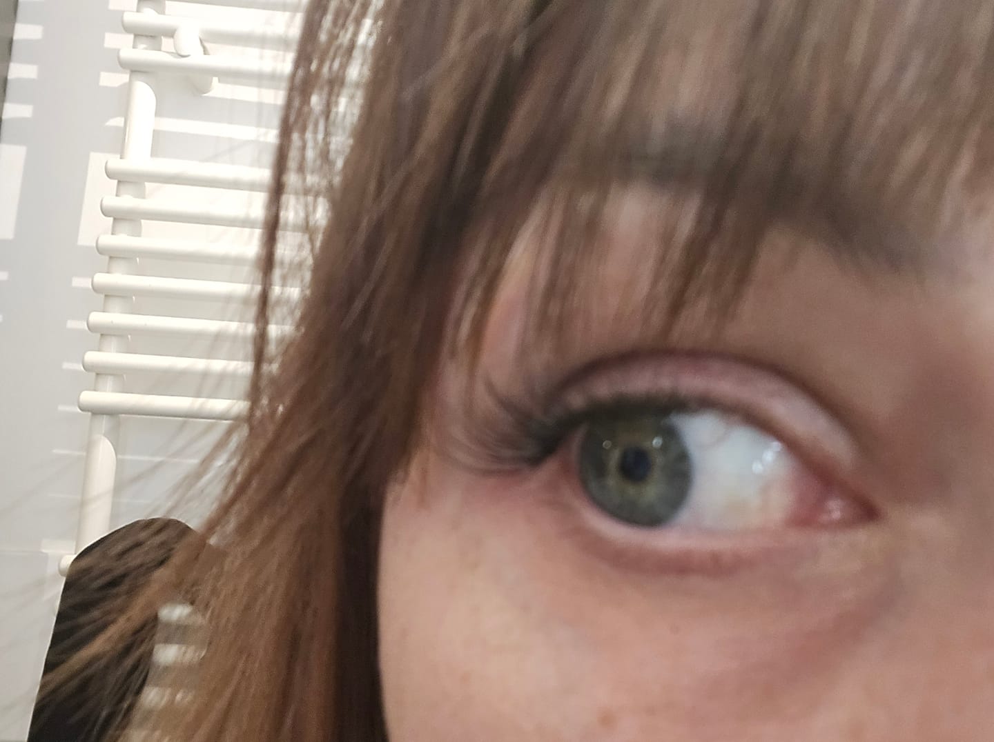 Customer photo review of Pre-Glued Whispy Light Volume - Press-On Lashes