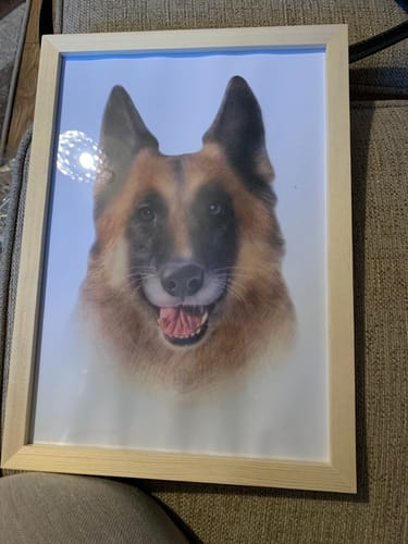 Customer photo review of COLOR PORTRAIT