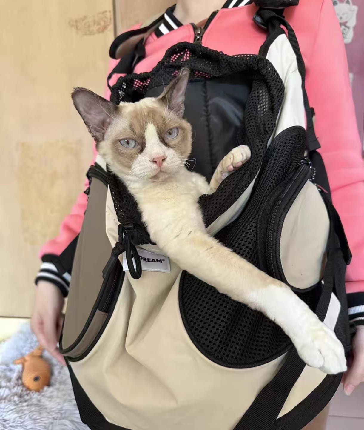 Customer photo review of Comfortable Labor-saving Front Pet Carrier