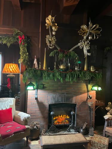 Customer photo review of Dimplex 28" Multi-Fire XHD Plug-in Electric Firebox - Logs