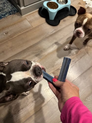 Customer photo review of MIX FLAVORED CHEWS ( A PACK OF 6 STICKS )