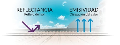 Customer photo review of Pack Cápsulas y Gotas Melena de León