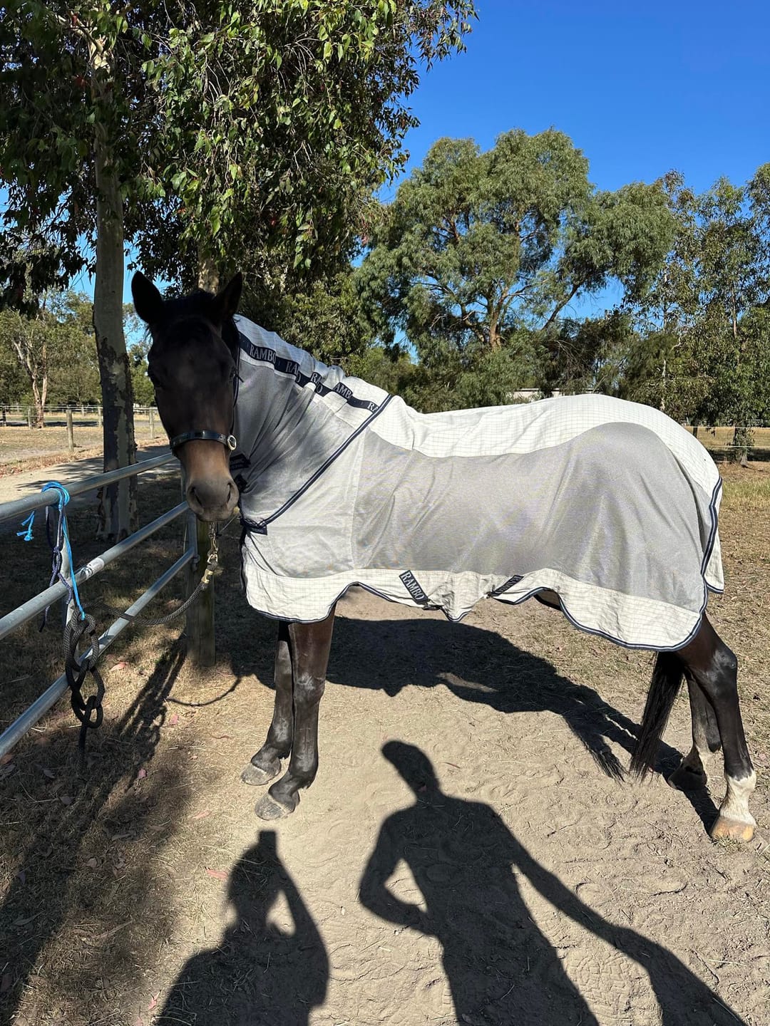 Customer photo review of Rambo Airflow
