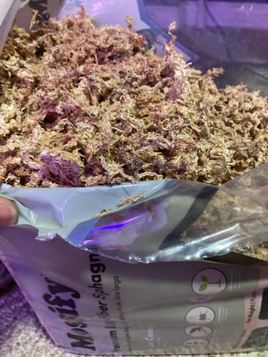 Customer photo of Premium Sphagnum Moss from Geetha S.