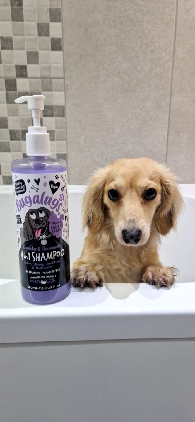 Customer photo review of Lavender & Chamomile 4 in 1 Calming Dog Shampoo