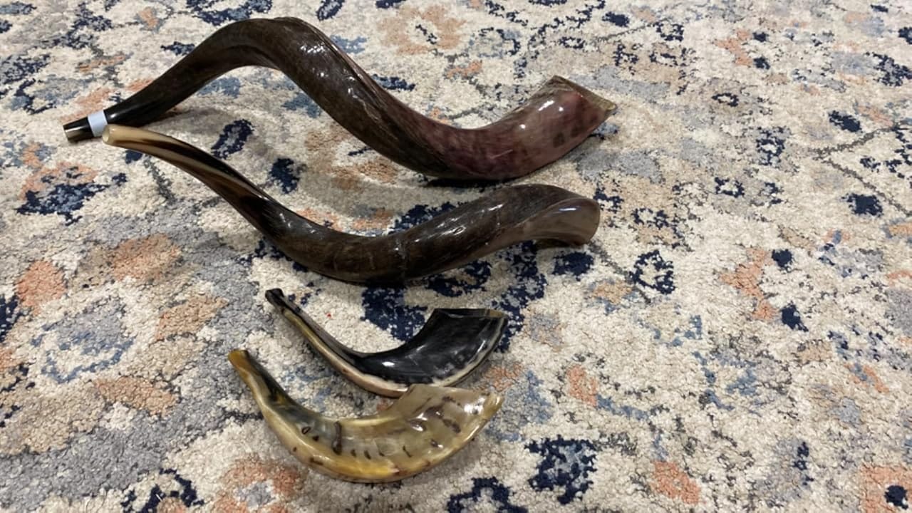 Customer photo review of Half Polished Kudu Shofar Plus Ram Horn, Guide & Brush