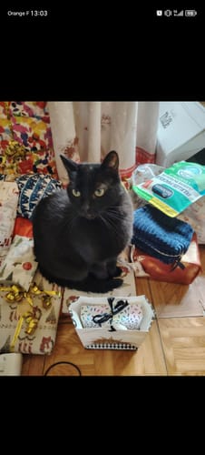 Customer photo review of Emballage cadeau