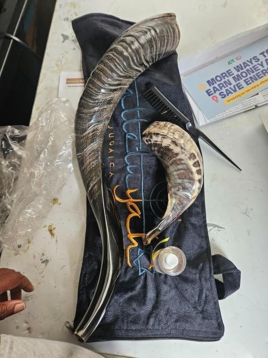Customer photo review of Half Polished Kudu Shofar Plus Ram Horn, Guide & Brush