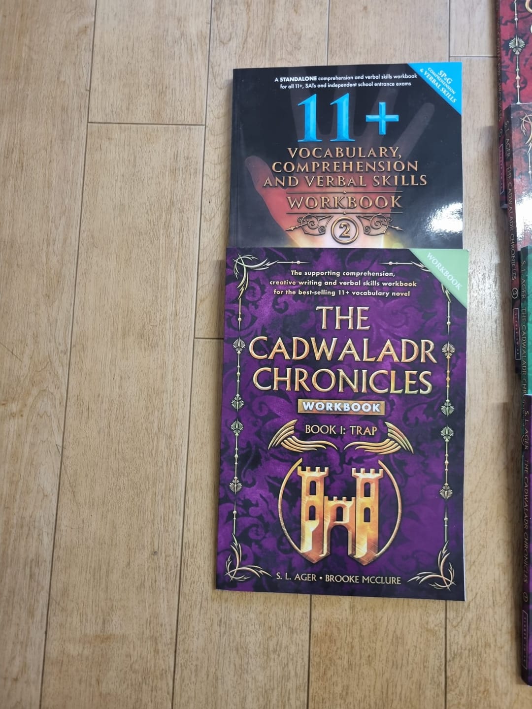Customer photo review of The Cadwaladr Chronicles/Quests 11+ Vocabulary Novels 7-Book Bundle (Year 4 and 5)