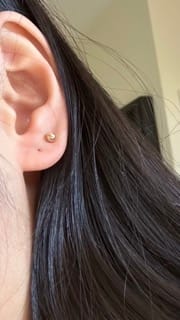 Customer photo review of 14k Yellow Gold Classic Ball Stud Earrings with Screwbacks (Unisex)
