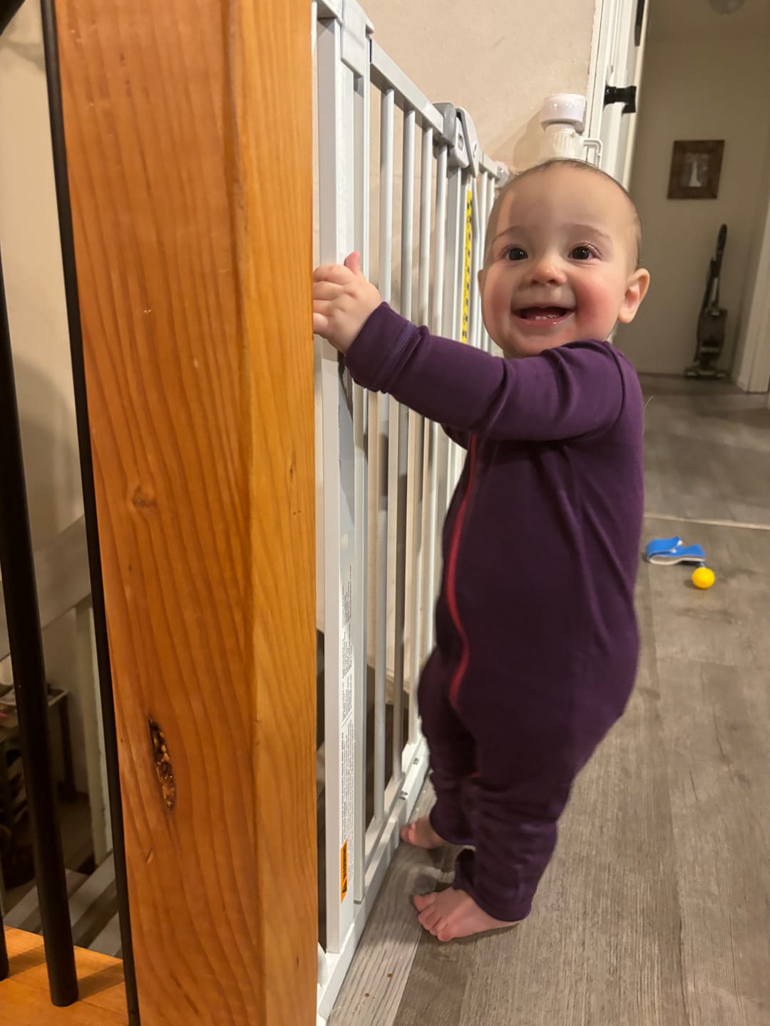 Customer photo review of baby adventure zippy