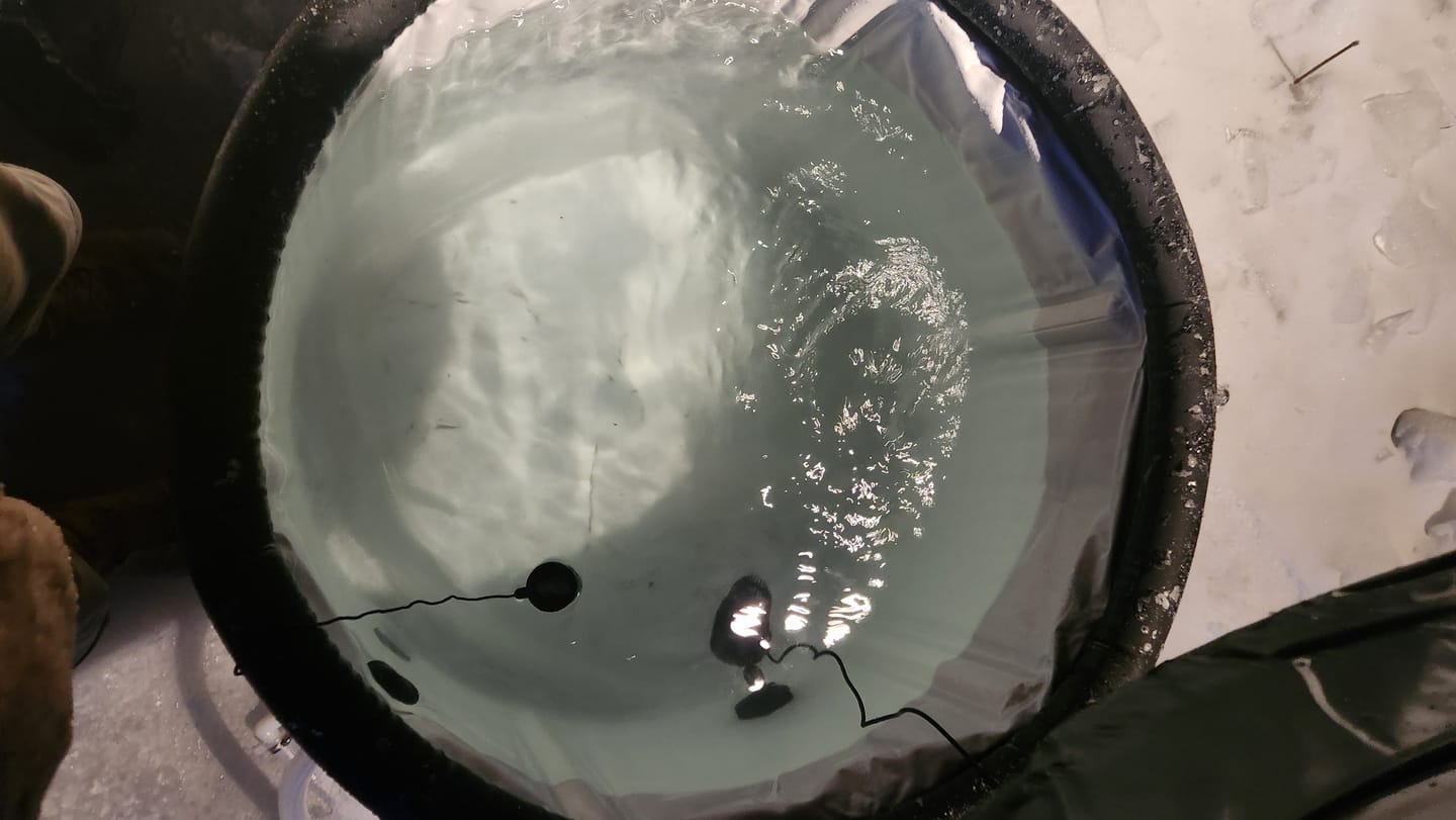 Customer photo review of Water Circulation Jet