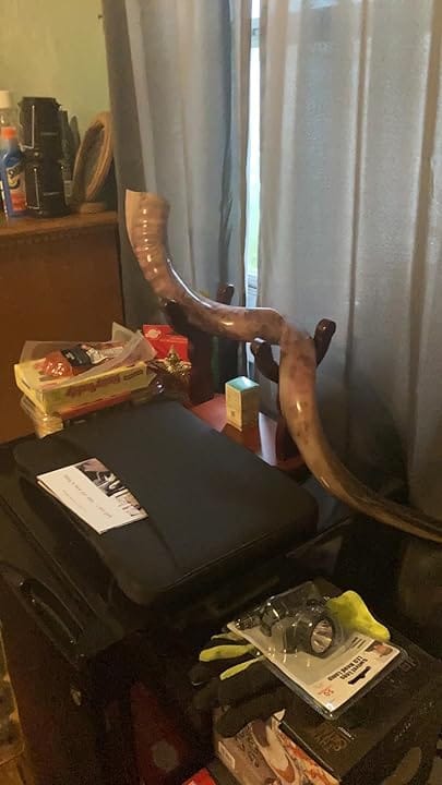 Customer photo review of Wood Stand For Kudu Shofar