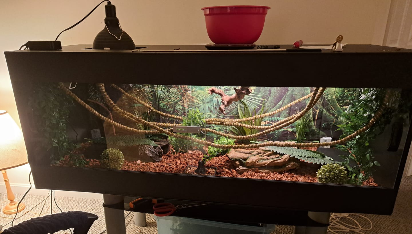 Customer photo review of 60"x24"x24" / 5'x2'x2' Premium PVC Reptile Enclosure