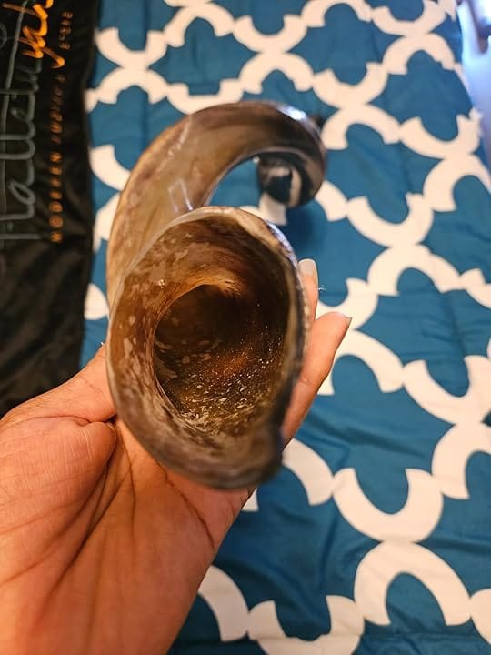 Customer photo review of Half Polished Kudu Shofar Plus Ram Horn, Guide & Brush