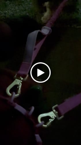 Customer video review of Handsfree Lead - Walkies Ready® Raspberry Pink