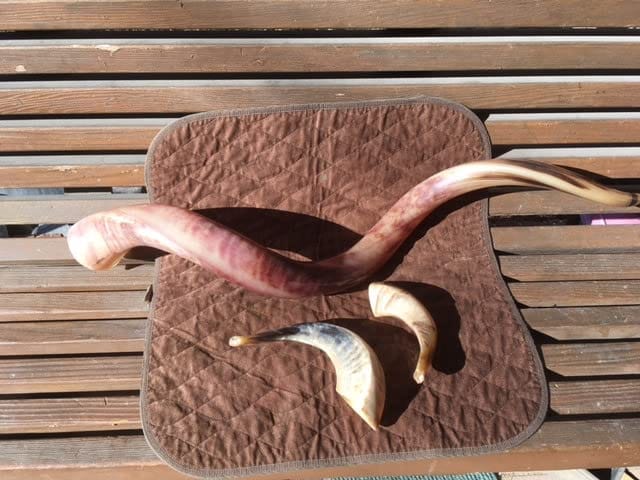 Customer photo review of Half Polished Kudu Shofar Plus Ram Horn, Guide & Brush